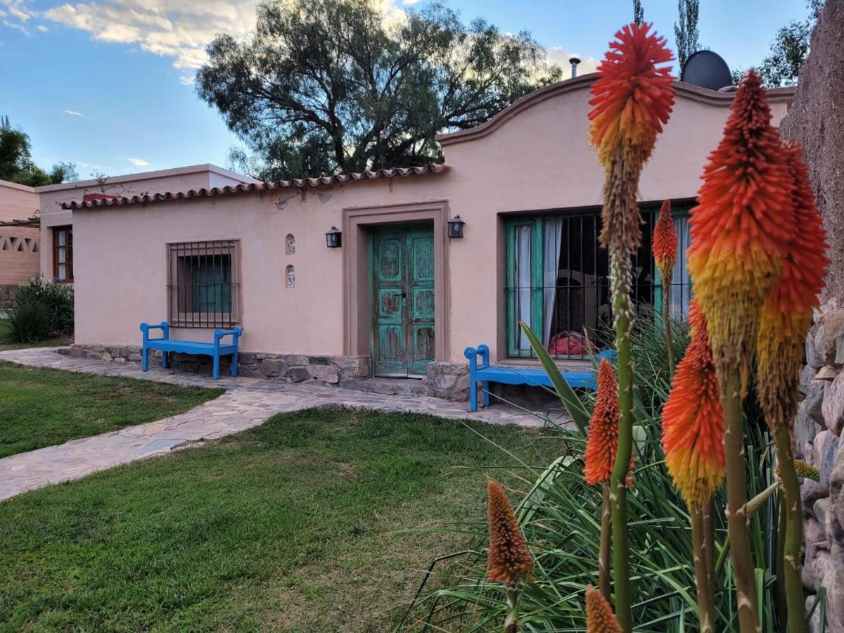 Los Arcabuceros Casa Hotel Boutique تيلكارا المظهر الخارجي الصورة