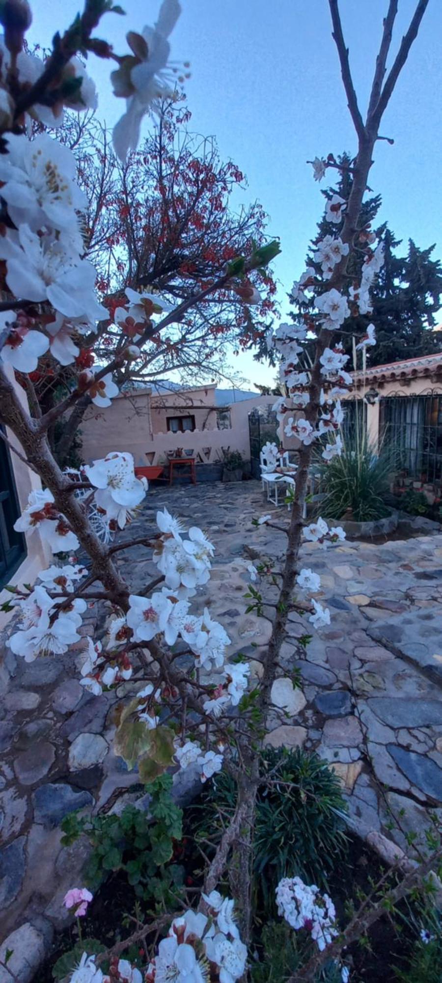 Los Arcabuceros Casa Hotel Boutique تيلكارا المظهر الخارجي الصورة