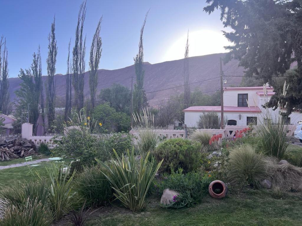 Los Arcabuceros Casa Hotel Boutique تيلكارا المظهر الخارجي الصورة